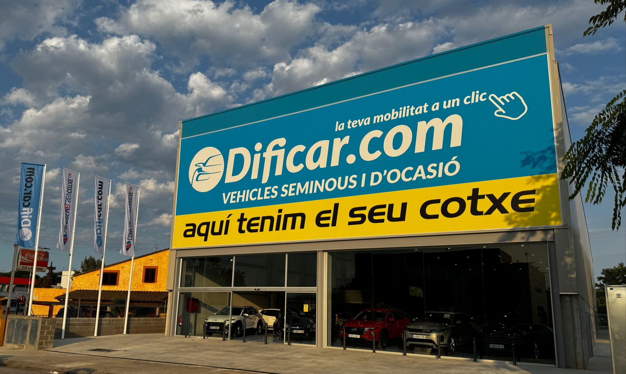 Comprar coche de casión